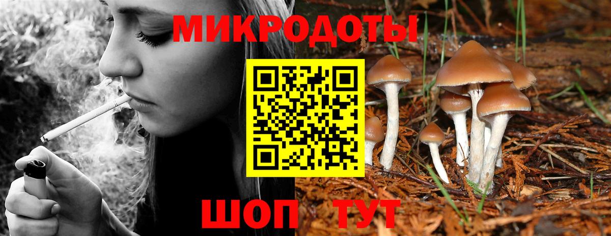 Псилоцибиновые грибы мухоморы Алексин